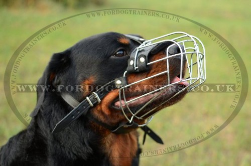 Dog Wire Basket Muzzle for Rottweiler Snout Size