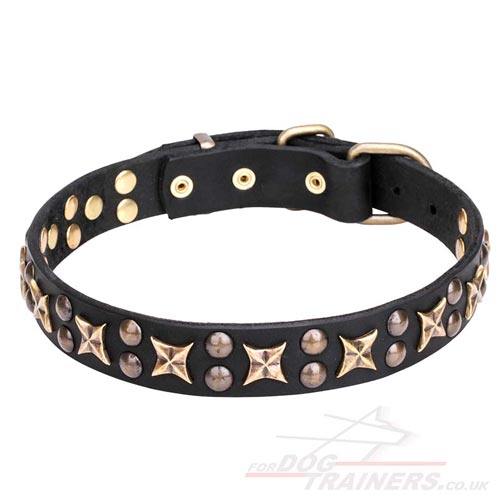 New Bling Leather Dog Collar with Brass Plated Decorations