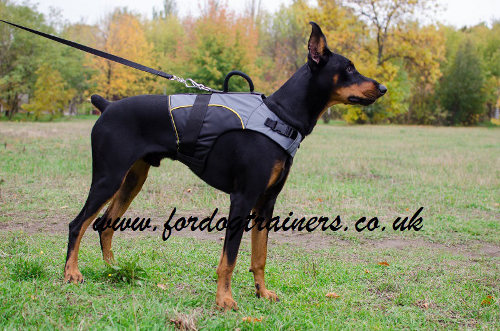 Warm Dog Coat for Walking in Cold and Support of Your Dog