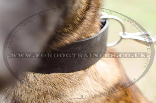 Wide Dog Collar for Belgian Shepherd | Wide Leather Dog Collar