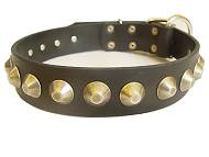 Wide gorgeous leather collar with pyramids Wide gorgeous leather collar with pyramids