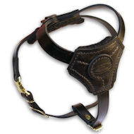 Walking leather dog harness for puppys and small breeds Walking leather dog harness for puppys and small breeds