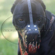 Cane Corso Dog Muzzle with "Flame" Design