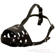 Leather Dog Muzzle "Everyday" style Leather Dog Muzzle "Everyday" style