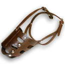 Every day leather muzzle for dog