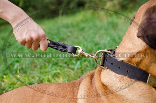 Short Leather Dog Lead