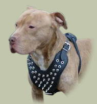 Spiked leather dog harnesses UK for Pitbull