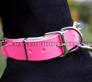 Exklusive Hundehalsbaender fuer Dobermann Exklusive Hundehalsbaender fuer Dobermann