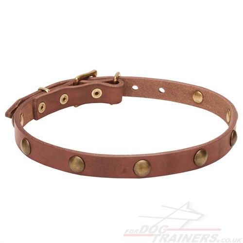 Natural Leather Collars for Dogs