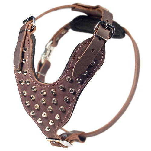 Studded walking dog harness with pyramids