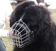 Wire Basket Dog Muzzle UK for Newfoundland Wire Basket Dog Muzzle UK for Newfoundland