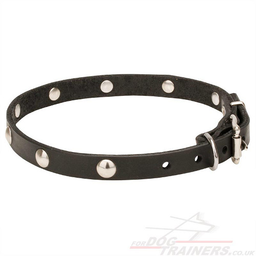 Riveted Dog Collar with Buckle