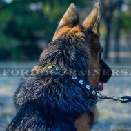 Handmade Leather Dog Collar for German Shepherd with Medals