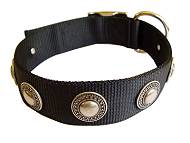 Nylon collar with silver conchos Nylon collar with silver conchos