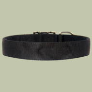 Extra wide nylon dog collar Extra wide nylon dog collar