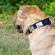 Smart, Elegant and Comfortable Shar Pei Collar