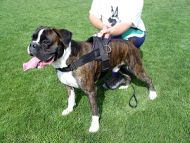 Boxer Nylon multi-purpose dog harness for tracking/pulling H6