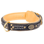 padded dog collar
