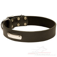 dog collars with ID plate