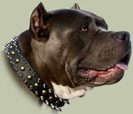 Spiked and Studded Leather Dog Collar UK for Pitbull