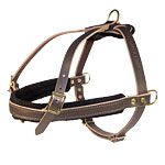 pulling
dog harness