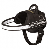 reflective
dog harness