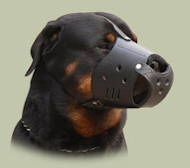 Everyday Leather dog muzzle for Rottweiler Everyday Leather dog muzzle for Rottweiler