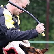 Agitation Stick Ideal for SCHUTZHUND Dog Training UK