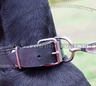 Soft Dog Collar for Doberman | Doberman Collar Soft Padded Soft Dog Collar for Doberman | Doberman Collar Soft Padded