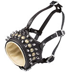 spiked dog muzzle