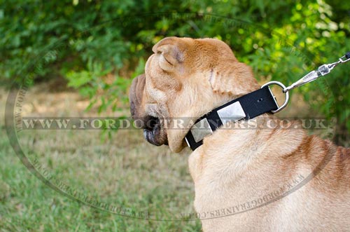 Nylon Dog Collar for Shar Pei Dog