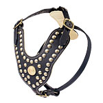 studded
royal dog harness