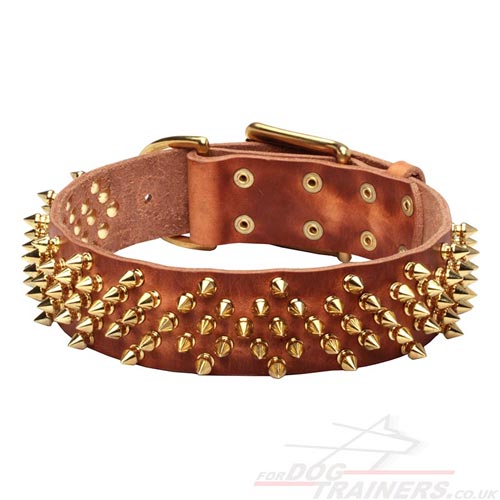 Handmade Dog Collar Designs