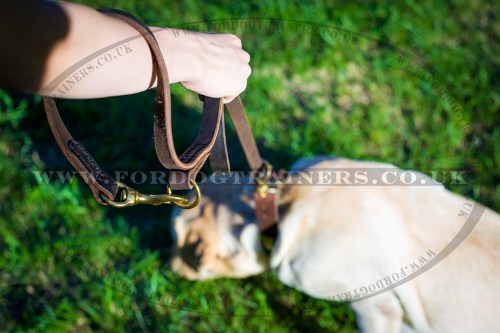 Adjustable Leather Dog Lead with Handle