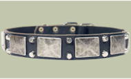 Unique dog collar with brass plates and pyramids Unique dog collar with brass plates and pyramids