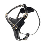 walking
dog harness