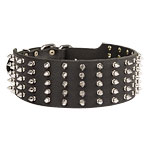 extra wide dog collar