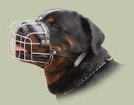Rottweiler Wire Basket dog muzzle Rottweiler Wire Basket dog muzzle