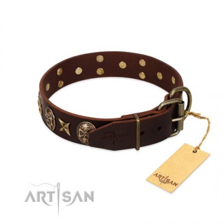 Fashionable Brown Leather Dog Collar "Captain Hook" FDT Artisan