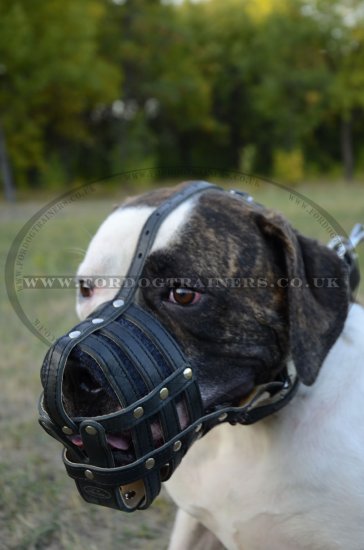 Large Dog Leather Muzzle for American Bulldog