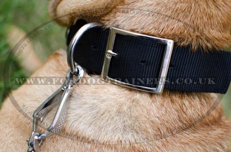 Doberman Collar for Dogs Style | Nylon Dog Collar with Buckle