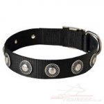 Designer Nylon Dog Collars with Luxury Silver-Like Conchos