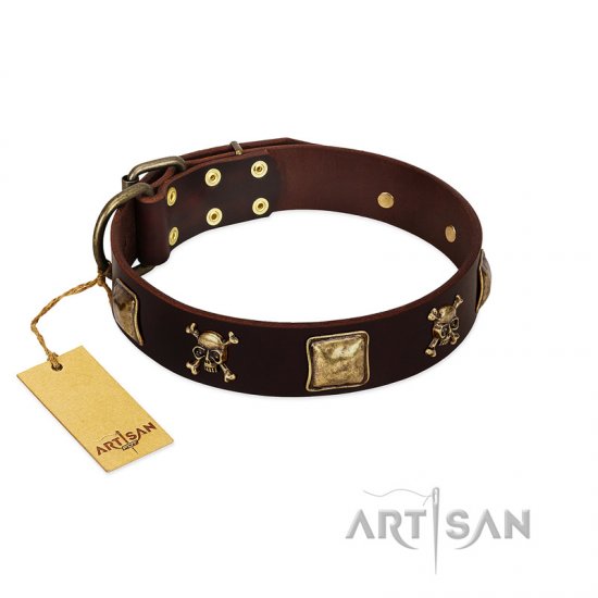 "Crazy Pirate" Exclusive Brown Leather Dog Collar With Brass Skulls FDT Artisan