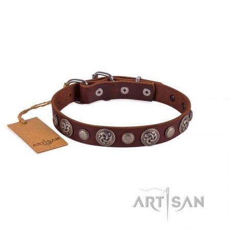 Premium Chocolate Brown Leather Dog Collar With Round Medallions FDT Artisan