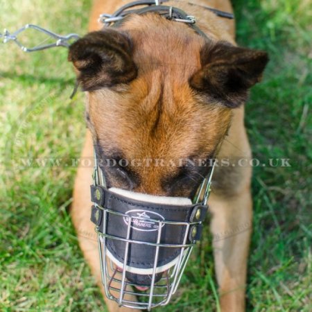 Wire Dog Muzzle for Malinois UK Bestseller