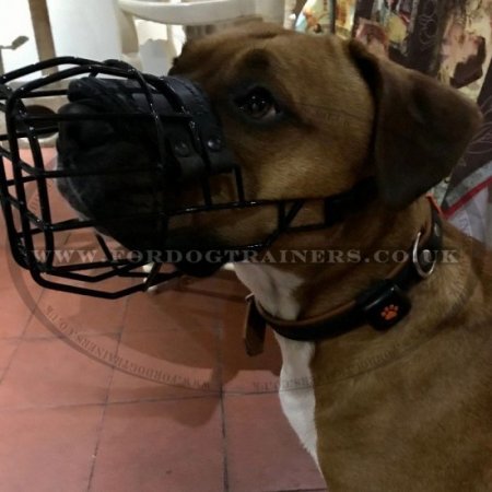 Black Rubber Covered Wire Dog Muzzle for Winter & Summer, Allows Drinking