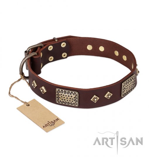 Noble Brown Leather Collar for Big Dogs "Golden Stones" Artisan