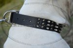 "Vivid Flash Of Lightning" High-Quality Leather Dog Collar For American Bully_1