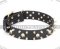 Wide Leather Dog Collar with Skulls and Spikes from FDT Artisan
