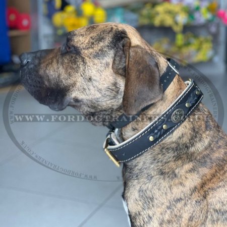 Luxury Handmade Leather Dog Collar UK Bestseller "Royal Style"
